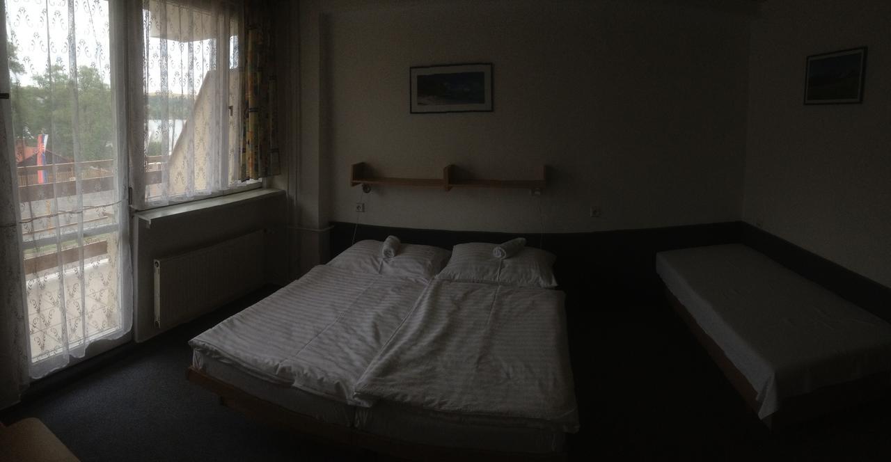 Hotel Banik Nitrianske Rudno Rum bild